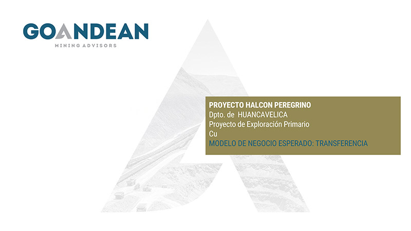 Proyecto Confidencial 03